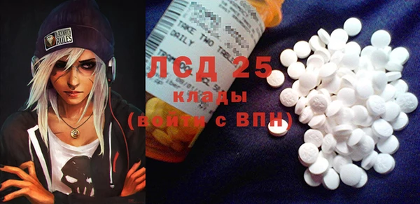индика Алексин