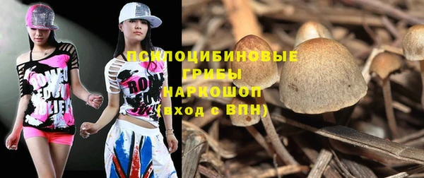 МДПВ Алзамай