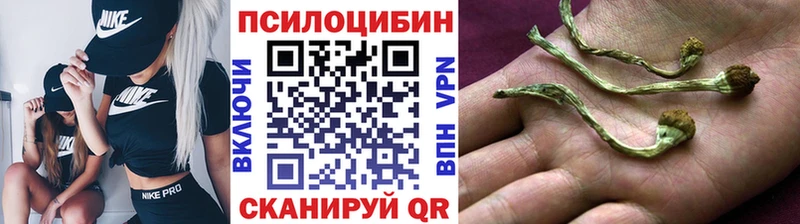 нарко площадка Telegram  Кашира  Псилоцибиновые грибы Cubensis  что такое   мега рабочий сайт 